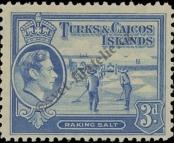 Známka Turks a Caicos Katalogové číslo: 124
