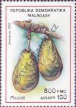 Známka Madagaskar Katalogové číslo: 1364