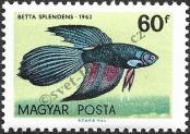 Známka Maďarsko Katalogové číslo: 1823/A