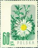 Známka Polsko Katalogové číslo: 1020