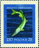 Známka Polsko Katalogové číslo: 1053