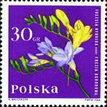 Známka Polsko Katalogové číslo: 1542