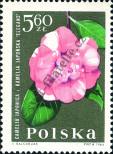 Známka Polsko Katalogové číslo: 1552