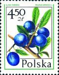 Známka Polsko Katalogové číslo: 2492