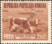 Známka Rumunsko Katalogové číslo: 1461