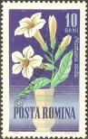 Známka Rumunsko Katalogové číslo: 2268