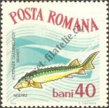 Známka Rumunsko Katalogové číslo: 2283