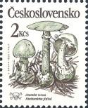 Známka Československo Katalogové číslo: 3019