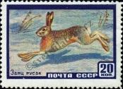 Známka Sovětský Svaz Katalogové číslo: 2323