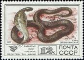 Známka Sovětský Svaz Katalogové číslo: 4682