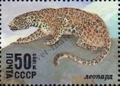 Známka Sovětský Svaz Katalogové číslo: 5542