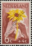 Známka Nizozemsko Katalogové číslo: 522