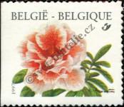 Známka Belgie Katalogové číslo: 2784/BDI