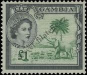 Stamp Gambia Catalog number: 162
