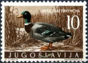 Stamp Yugoslavia Catalog number: 842