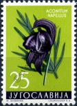 Stamp Yugoslavia Catalog number: 885