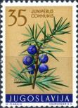 Stamp Yugoslavia Catalog number: 887