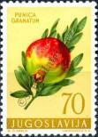 Stamp Yugoslavia Catalog number: 889