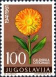 Stamp Yugoslavia Catalog number: 951