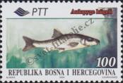 Stamp Bosnia and Herzegovina Catalog number: 29