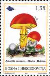 Stamp Bosnia and Herzegovina Catalog number: 144