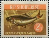 Stamp Albania Catalog number: 812