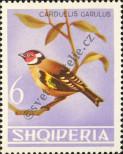 Stamp Albania Catalog number: 855