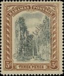 Stamp Bahamas Catalog number: 46