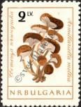 Známka Bulharsko Katalogové číslo: 1270