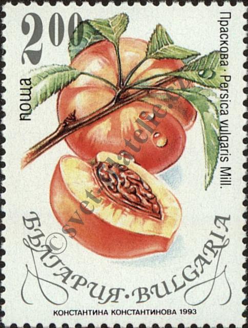 Katalogové číslo: 4056