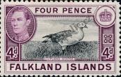 Známka Falklandy Katalogové číslo: 85
