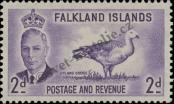 Známka Falklandy Katalogové číslo: 104