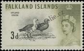 Známka Falklandy Katalogové číslo: 127