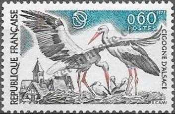 Katalogové číslo: 1831