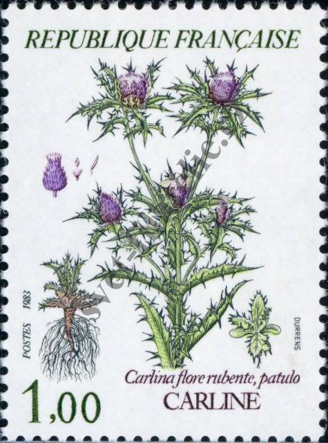 Katalogové číslo: 2392
