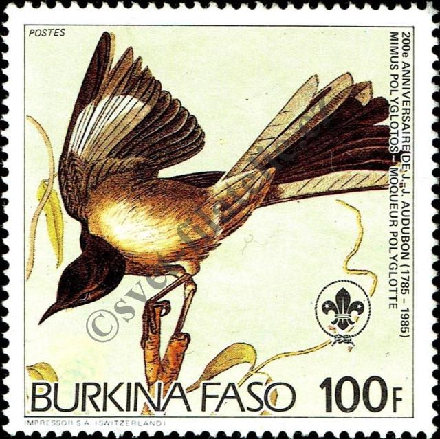 Katalogové číslo: 1029/A