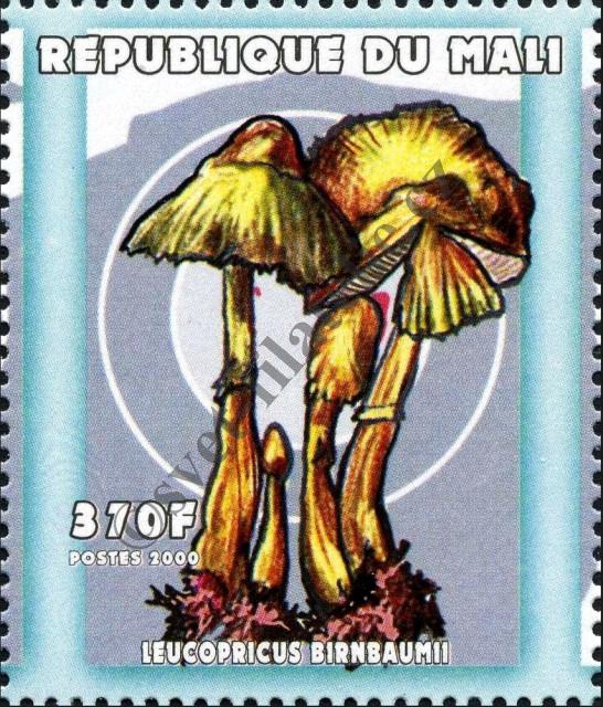 Katalogové číslo: 2547