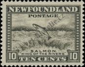 Známka Newfoundland Katalogové číslo: 178