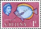 Známka Svatá Helena Katalogové číslo: 146