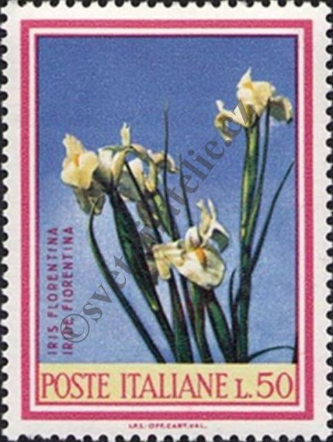 Katalogové číslo: 1248