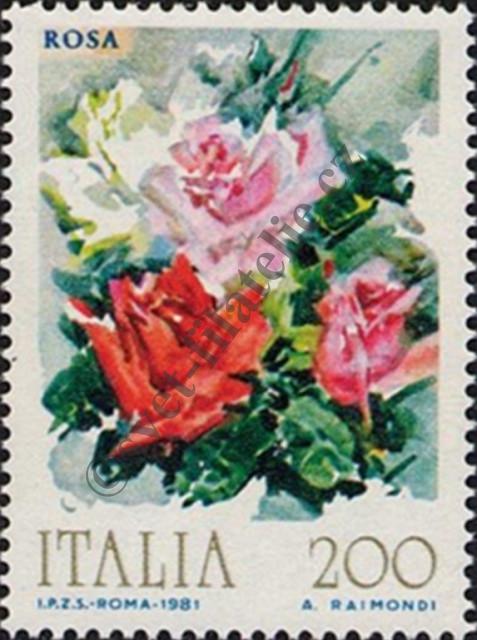 Katalogové číslo: 1747