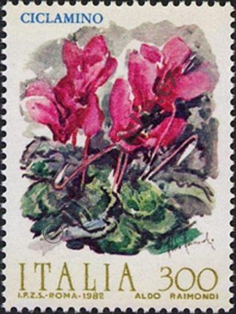 Katalogové číslo: 1795