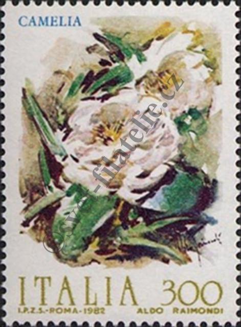 Katalogové číslo: 1796