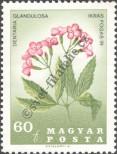 Známka Maďarsko Katalogové číslo: 2308/A