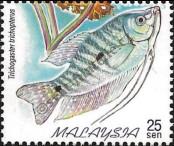 Známka Malajsie Katalogové číslo: 771/A