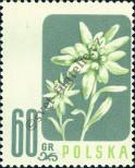 Známka Polsko Katalogové číslo: 1022