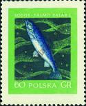 Známka Polsko Katalogové číslo: 1052