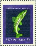 Známka Polsko Katalogové číslo: 1054