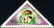 Známka Polsko Katalogové číslo: 1095