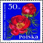 Známka Polsko Katalogové číslo: 1544